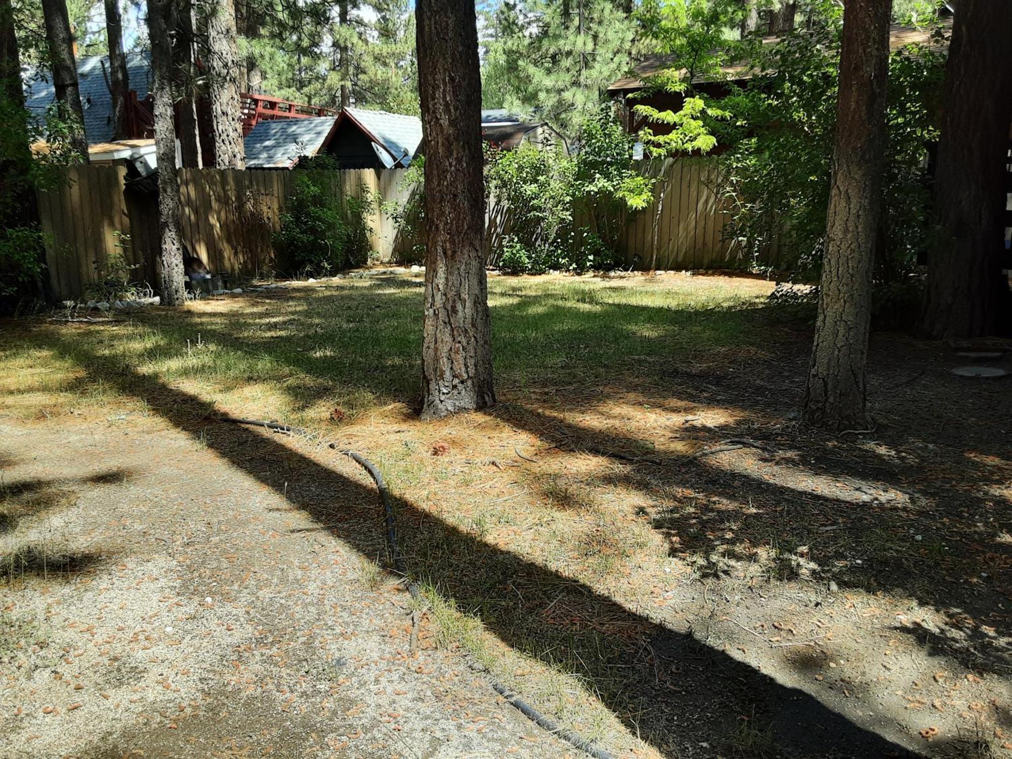 Bearadise - Prime Location For A Family Getaway In The Winter Or Summer Big Bear City Ngoại thất bức ảnh